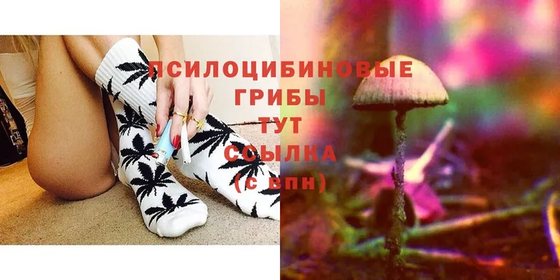 Галлюциногенные грибы MAGIC MUSHROOMS  купить закладку  Кедровый 